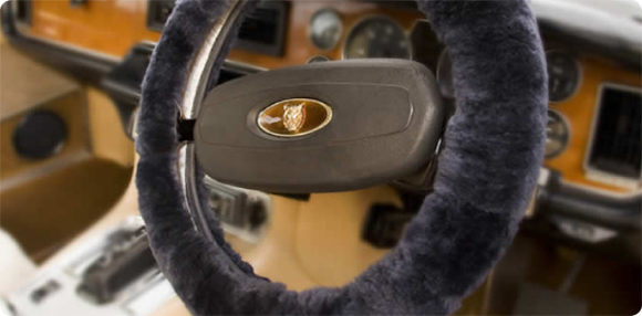 Steering Wheel Cover